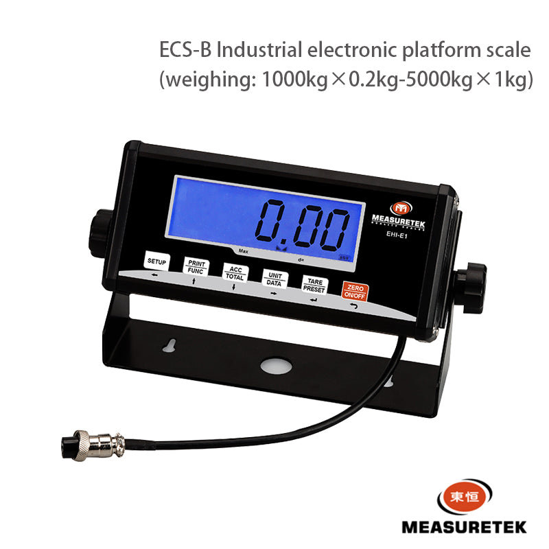 DONGHENG ECS-B Weighbridge