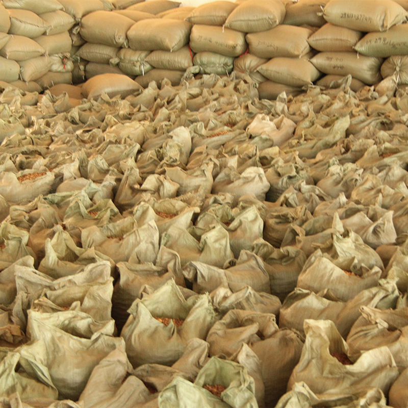 YONGMING cork granule