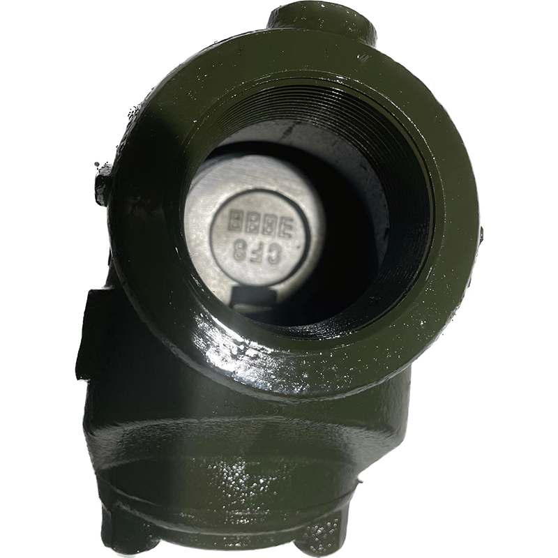 YONGYUAN Swing threaded check valve 1''-4'' Soft seal gate valve Check valve