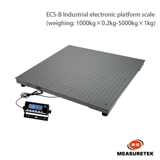 DONGHENG  ECS-B Weighbridge