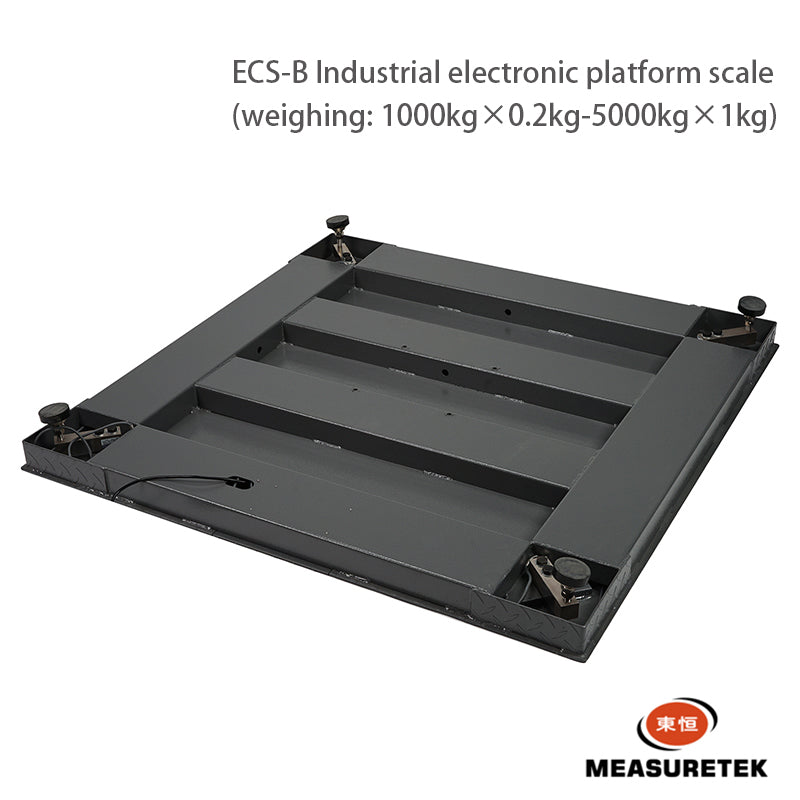 DONGHENG  ECS-B Weighbridge