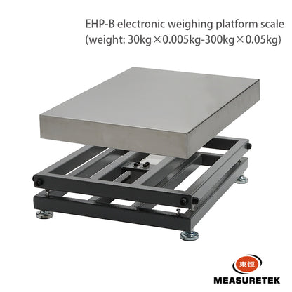 DONGHENG  Bench scales