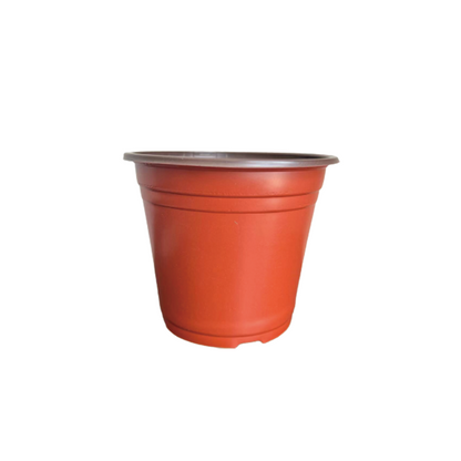 JUSHENG Two-color basin series