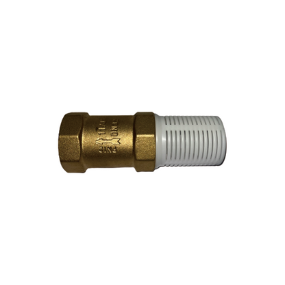 FENGTAI Vertical check valve (with strainer)