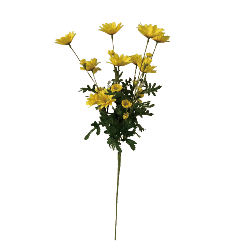 TIANMEIHUAYI #A-785M3 Single 4-big chrysanthemums (spring color; 10 large flowers, 4 medium flowers, 10 lin)