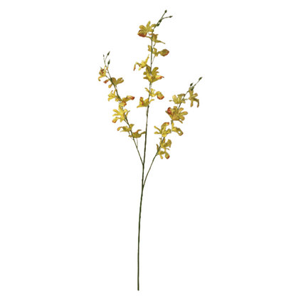 TIANMEIHUAYI #11472/A Single 3by Dancing Orchid