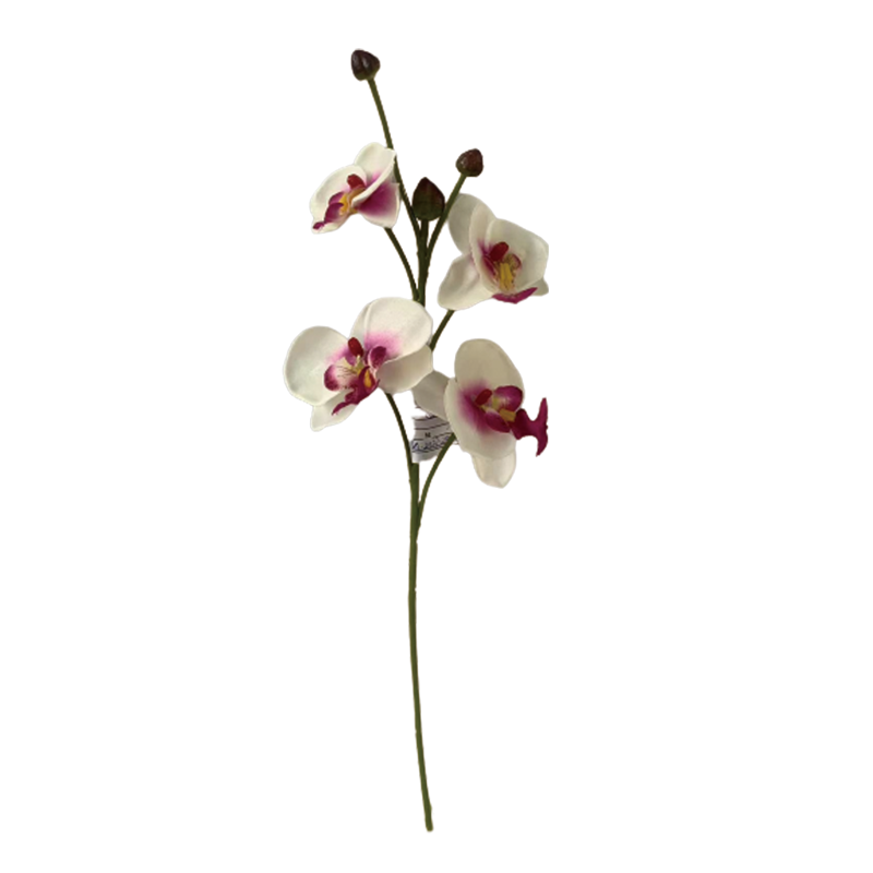 TIANMEIHUAYI #05508/A Single 4-head Phalaenopsis Orchid