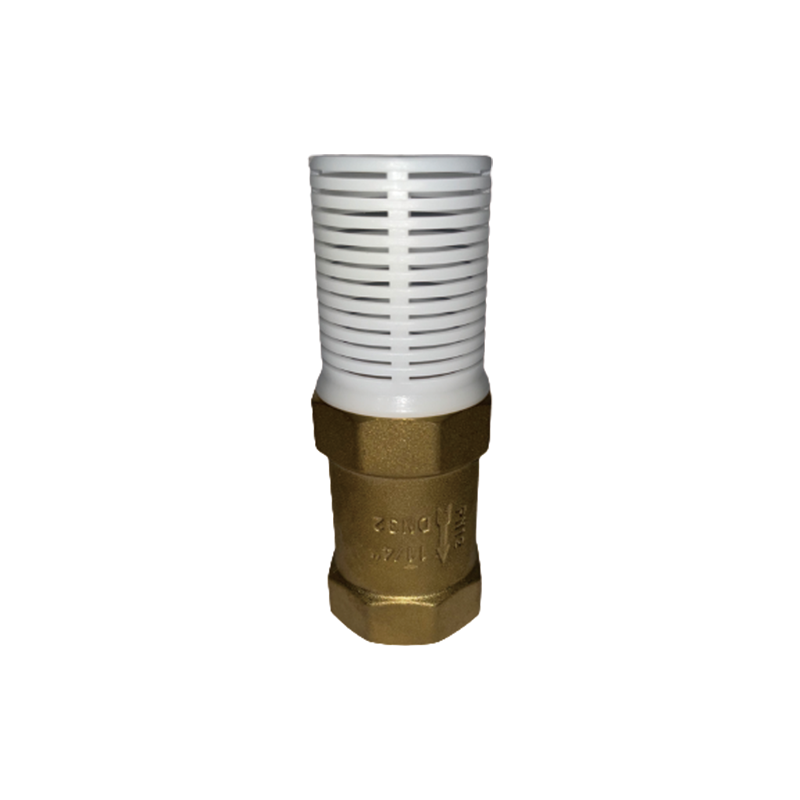 FENGTAI Vertical check valve (with strainer)