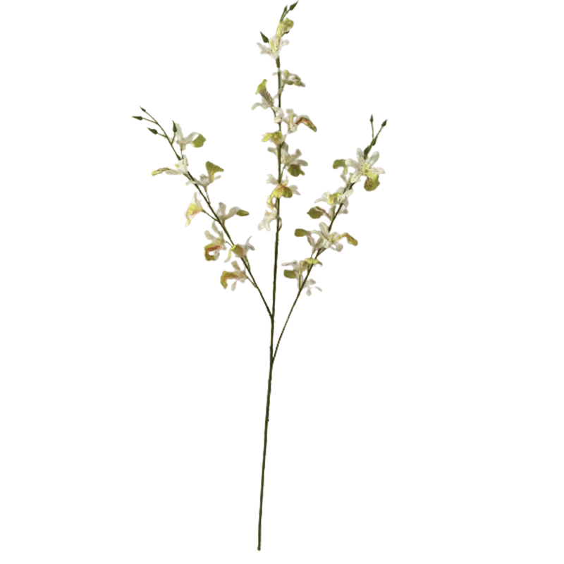 TIANMEIHUAYI #11472/A Single 3by Dancing Orchid