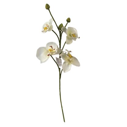 TIANMEIHUAYI #05508/A Single 4-head Phalaenopsis Orchid