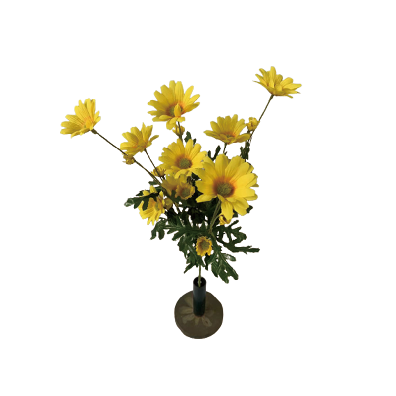 TIANMEIHUAYI #A-785M3 Single 4-big chrysanthemums (spring color; 10 large flowers, 4 medium flowers, 10 lin)