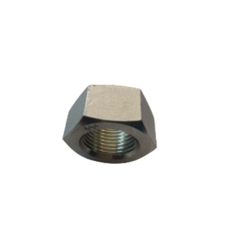 WUYI Nut M24X2  Hexagonal Nut Carbon Steel Hexagonal Nut