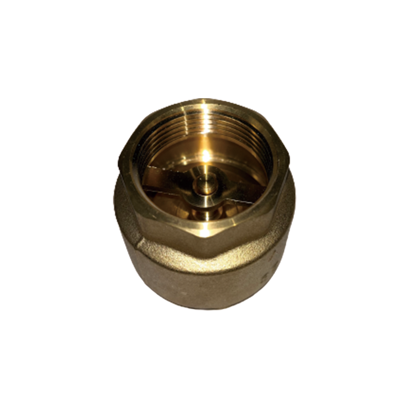 FENGTAI Vertical Check Valve