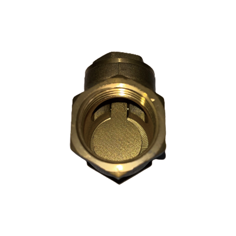 FENGTAI Horizontal check valves