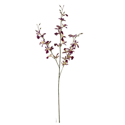 TIANMEIHUAYI #11472/A Single 3by Dancing Orchid