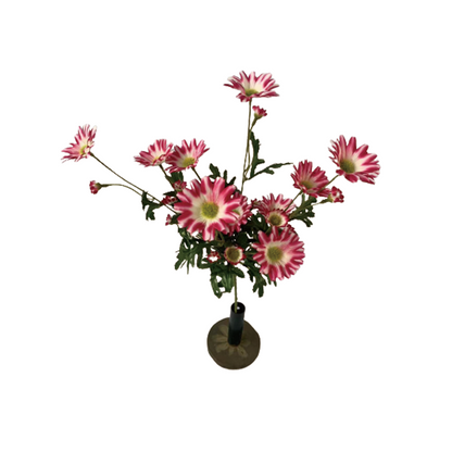 TIANMEIHUAYI #A-785M3 Single 4-big chrysanthemums (spring color; 10 large flowers, 4 medium flowers, 10 lin)