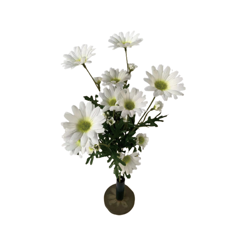 TIANMEIHUAYI #A-785M3 Single 4-big chrysanthemums (spring color; 10 large flowers, 4 medium flowers, 10 lin)