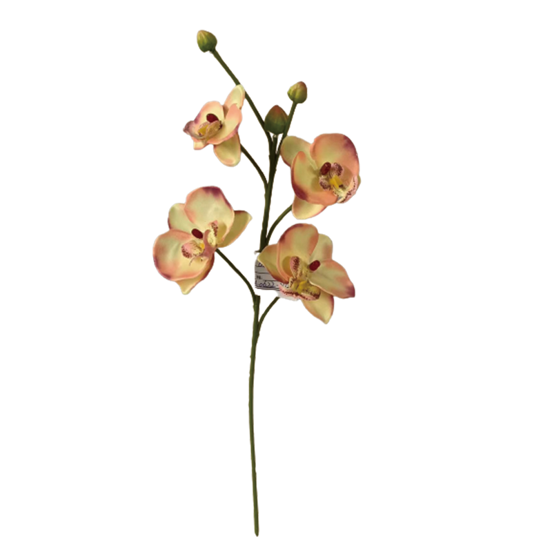 TIANMEIHUAYI #05508/A Single 4-head Phalaenopsis Orchid