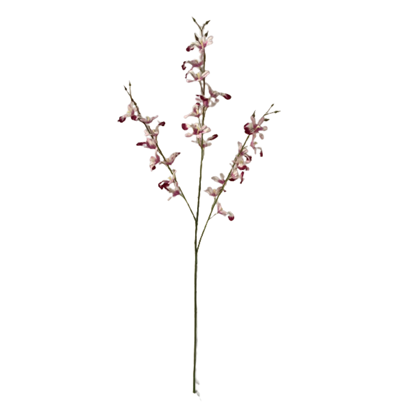 TIANMEIHUAYI #11472/A Single 3by Dancing Orchid