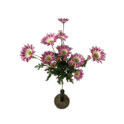 TIANMEIHUAYI #A-785M3 Single 4-big chrysanthemums (spring color; 10 large flowers, 4 medium flowers, 10 lin)