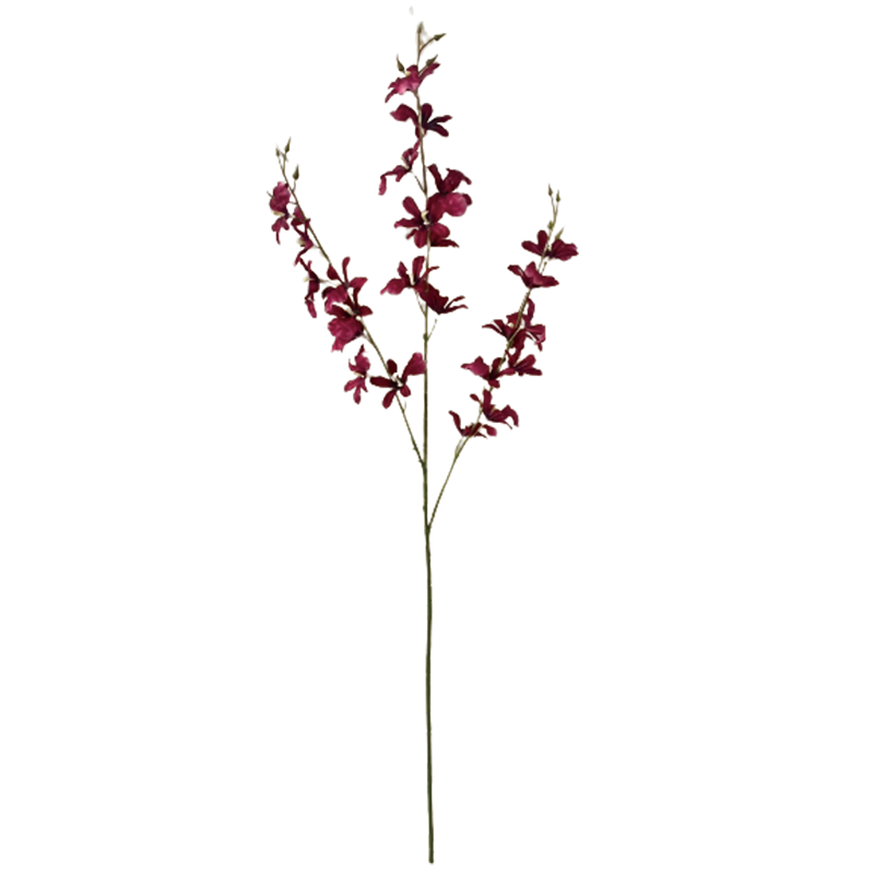 TIANMEIHUAYI #11472/A Single 3by Dancing Orchid