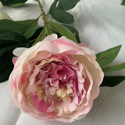 TIANMEIHUAYI #09601/A Single Chinese Peony