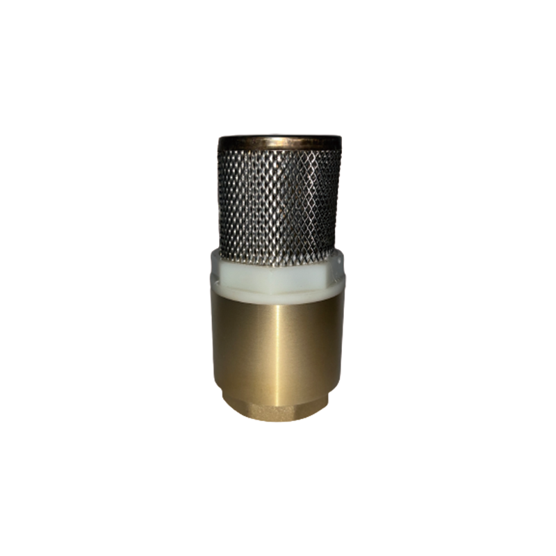 FENGTAI Vertical check valve (with strainer)