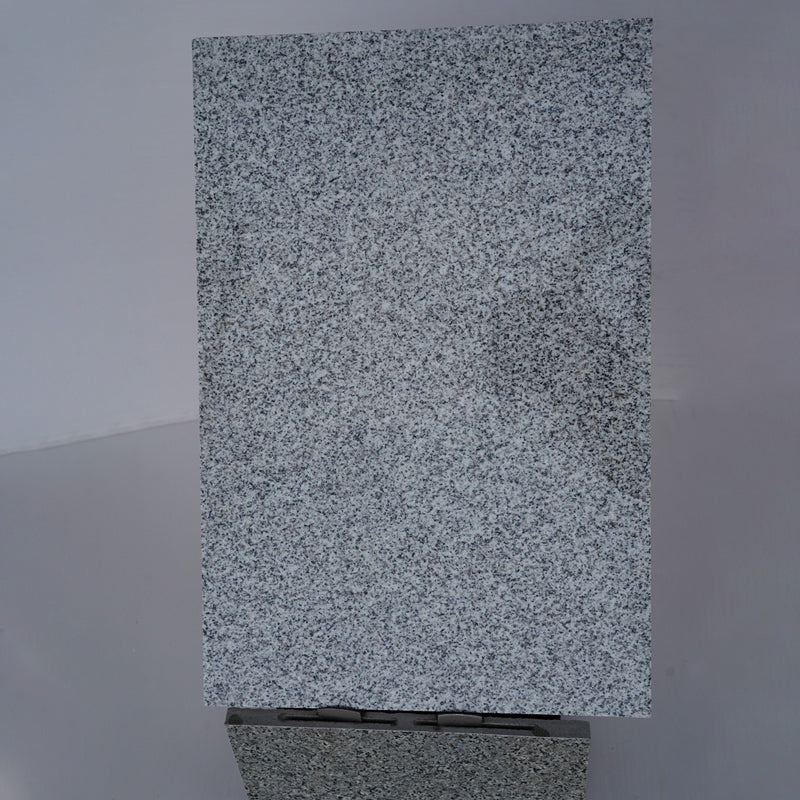 DONGSHENGJIANSHE Sesame White (Glossy/Burnished) Granite