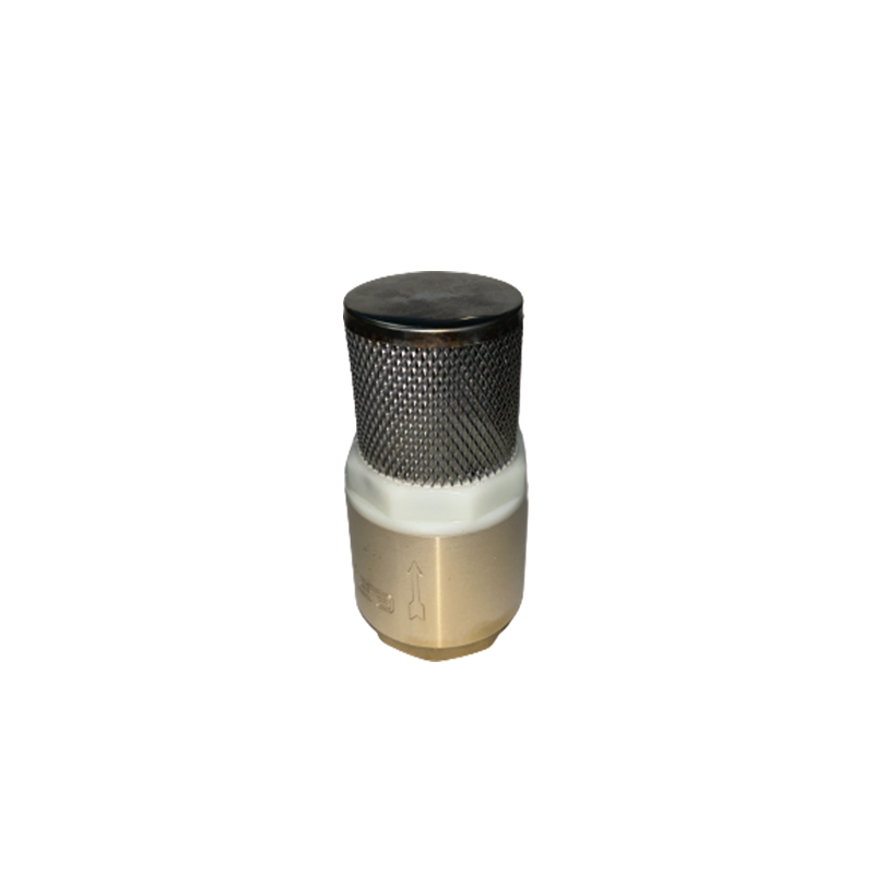 FENGTAI Vertical check valve (with strainer)